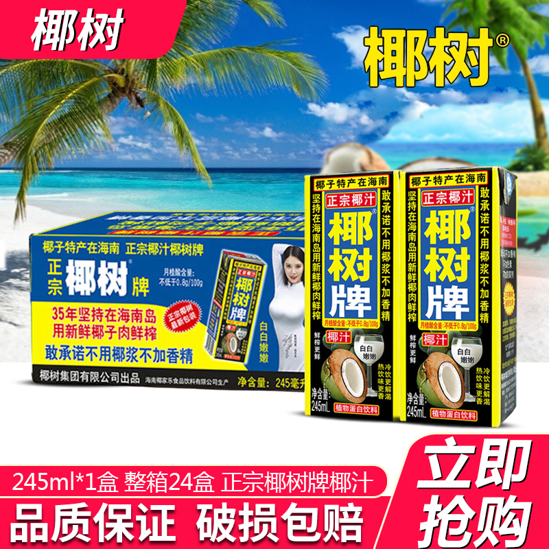 正宗椰树牌椰子汁植物蛋白饮料