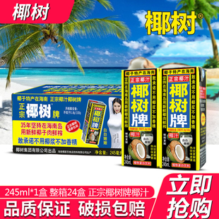 正宗椰樹牌椰子汁245ml 鮮果汁 24盒整箱植物蛋白飲料海南特產散裝