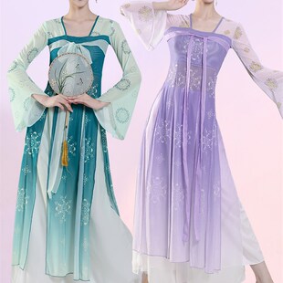 速发古典舞身韵纱衣飘逸国蹈服舞服裙练功服中汉风艺考表演出