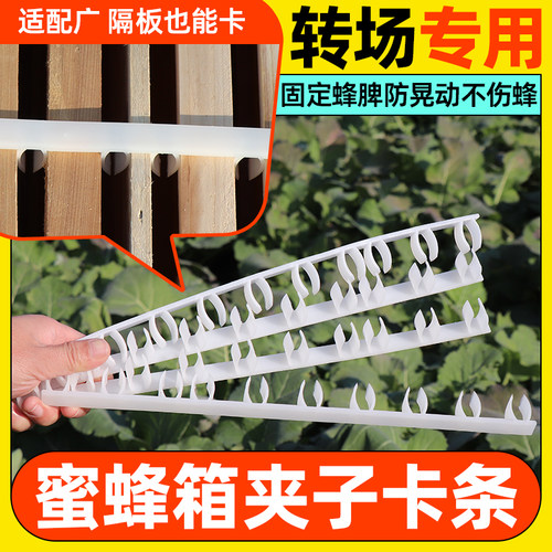 蜜蜂箱卡条夹子压条蜂框脾架专用