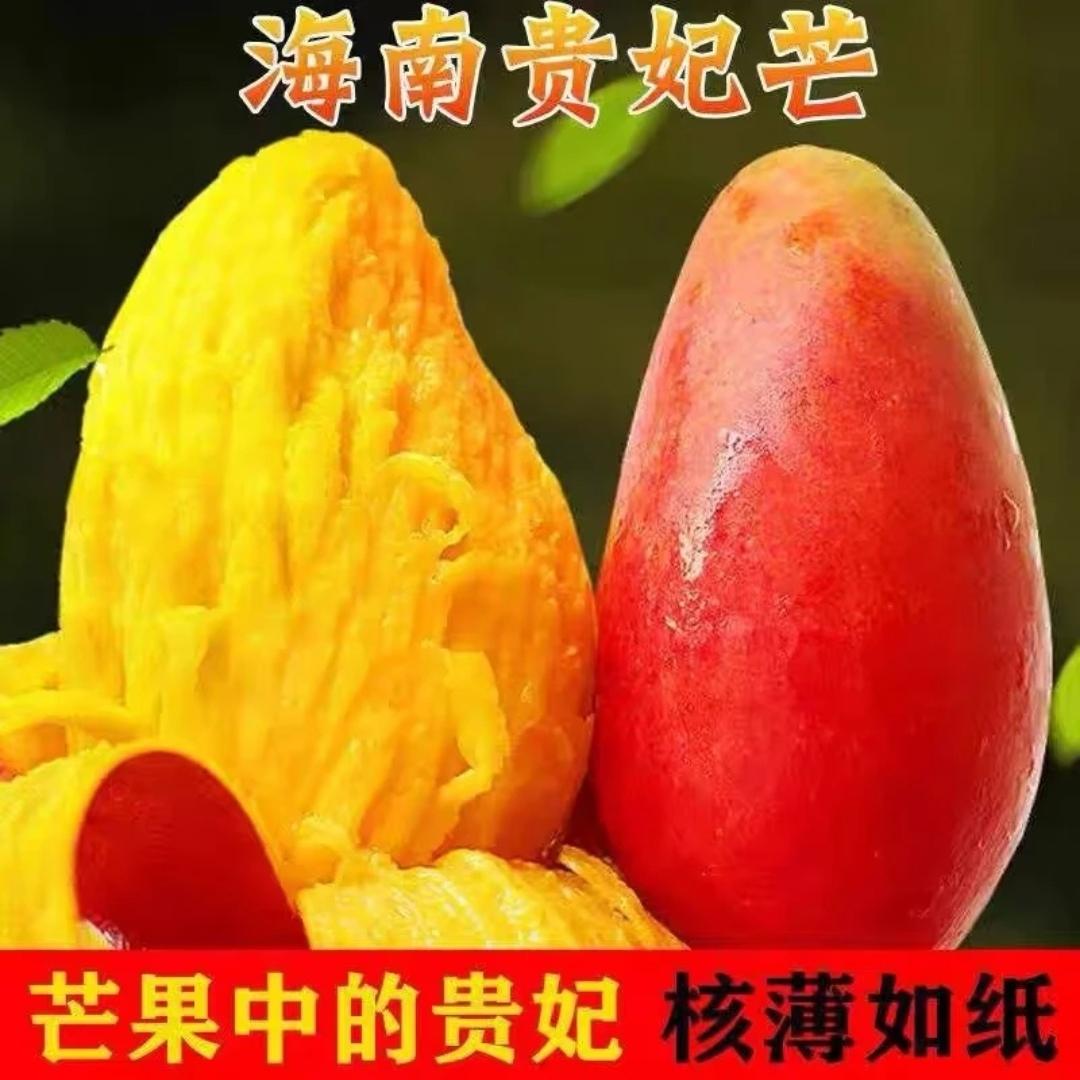 海南老树贵妃芒新鲜金凤凰芒果礼盒大果贵妃芒热带水果现摘顺丰图片