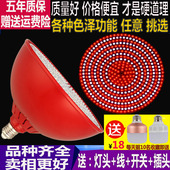 蔬菜灯 led生鲜灯 吊灯水果灯 照肉灯 熟食灯夜市灯卤菜灯 猪肉灯