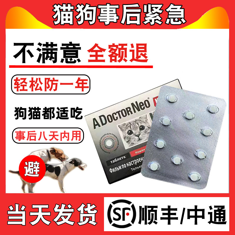 狗狗避交配防止怀孕紧母狗母猫后急抑片情母猫绝土狗宠物育效长事