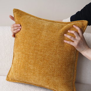 高端抱枕套不含芯沙发客厅轻奢高级感靠垫星绒靠背枕床头靠枕头