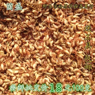 野生凉粉籽非爱玉贵州特产手搓冰粉籽木莲瓜100克薛荔果不用石灰