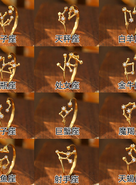 榕树下S925银小众设计感十二星座戒指女夏简约12符号生辰指环跨境
