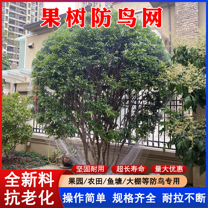 果树防鸟网罩樱桃网家庭防鸟用的网果园尼龙网防护罩葡萄蔬菜