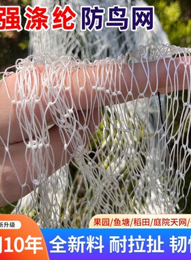 涤纶防鸟网大棚果园葡萄樱桃鱼塘农田防护网天网果树尼龙网户外