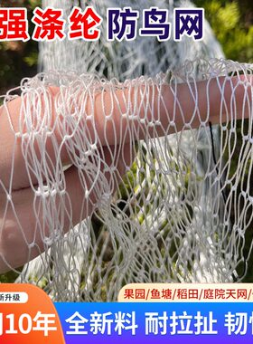 涤纶防鸟网大棚果园葡萄樱桃鱼塘农田防护网天网果树尼龙网户外