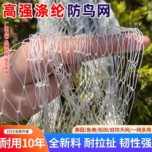 涤纶防鸟网大棚果园葡萄樱桃鱼塘农田防护网天网果树尼龙网户外