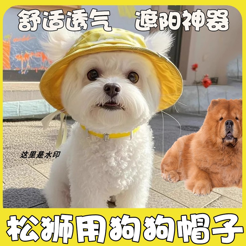 松狮专用狗狗外出帽子防晒头套小狗太阳帽太阳帽渔夫帽漏耳朵可爱
