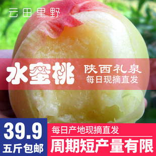 【云田里野】正宗陕西礼泉突围水蜜桃撕皮特甜软桃5斤包邮