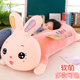 可爱网红兔子毛绒玩具公仔女孩睡觉抱枕儿童玩偶长条侧睡夹腿枕男