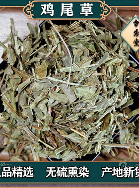 中草药凤尾草凤尾七中药材