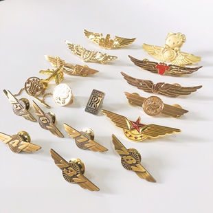 国航南航海航川航东航飞行员乘务员制服胸章航空公司纪念徽章礼品