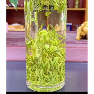 2025年安吉白茶新茶正宗春茶明前罐装绿茶浓郁兰花香鲜爽鲜甜