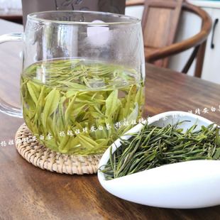 2025明前新茶正宗江西绿茶靖安白茶高山茶叶100克礼盒装春茶