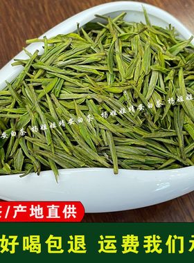 2026新茶半斤礼盒装明前头采正宗靖安白茶叶高山绿茶高海拔春茶