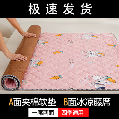 冬夏两用床垫子学生宿舍0.9m单双人凉席双面托管床定做夏季薄垫子 - 封面