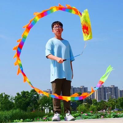 甩龙舞龙耍龙抖龙立体龙