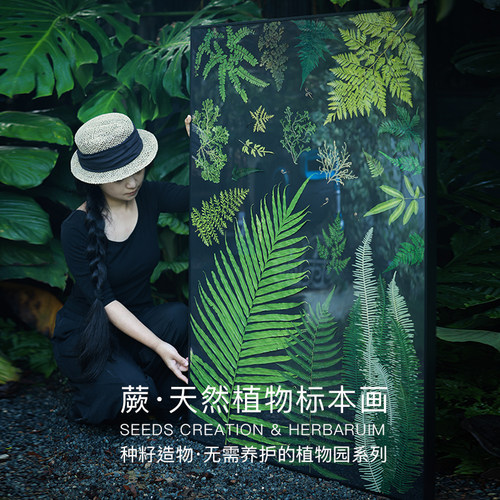 种籽造物超大幅蕨类植物标本画