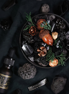 种籽造物原创荒野之息晶石香薰礼盒植物标本桌面摆件高级小众礼物