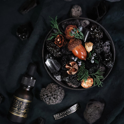 种籽造物礼物植物标本晶石扩香