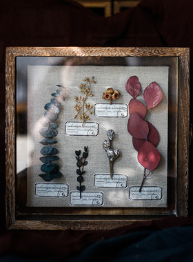 种籽造物时间痕迹植物标本侘寂客厅干花挂画复古装饰画摆件挂画