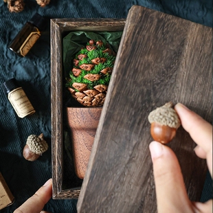 种籽造物青松植物香薰办公室桌面小摆件工位情绪稳定文创生日礼物