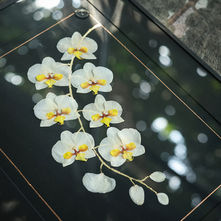 种籽造物蝴蝶兰押花植物标本画母亲节礼物新中式 饰画挂画 沙发装