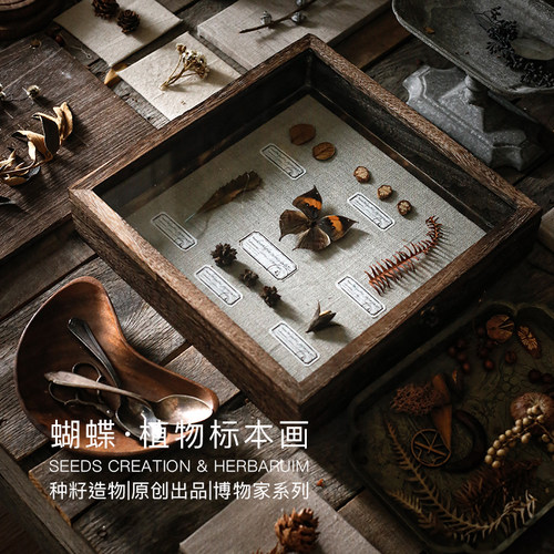 种籽造物复古侘寂风蝴蝶标本画
