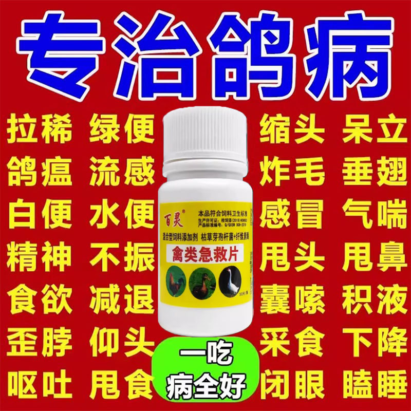 鸽子专用药治鸡鸭鹅流感发烧感冒咳嗽黄白血痢疾抗病毒特效预防药