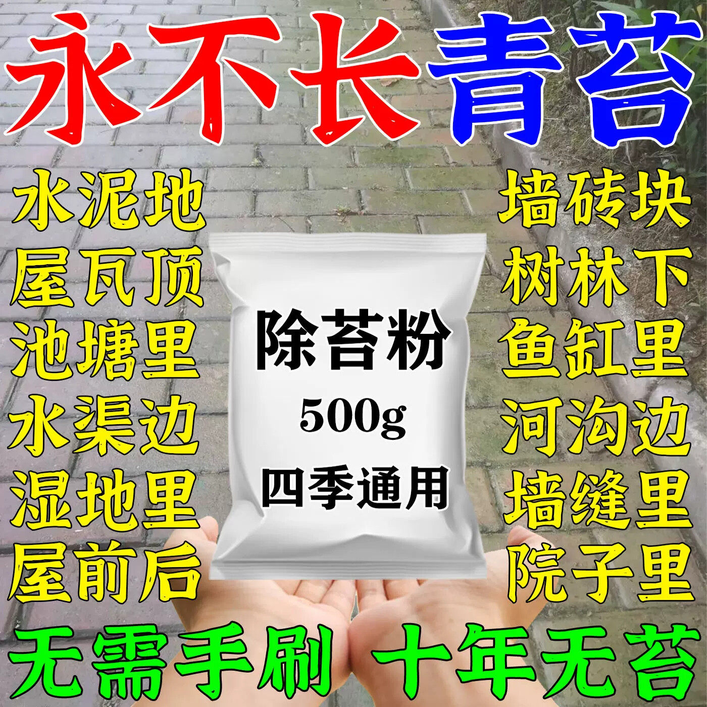 青苔清除剂水泥地面墙砖鱼缸池塘去刷清理绿藻专用除青苔专用药粉