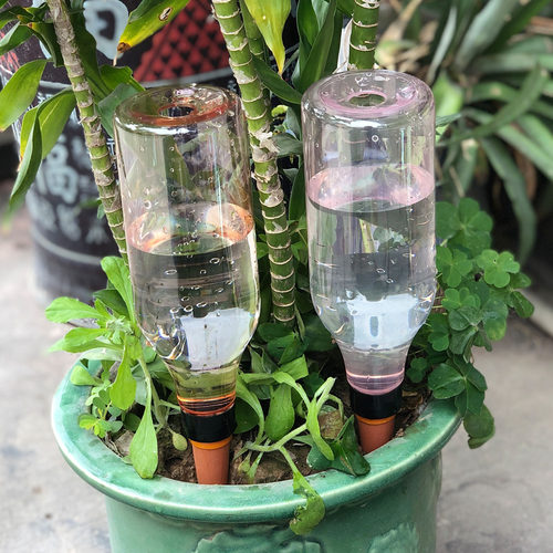 长款圆柱酒杯自动浇花器渗水器
