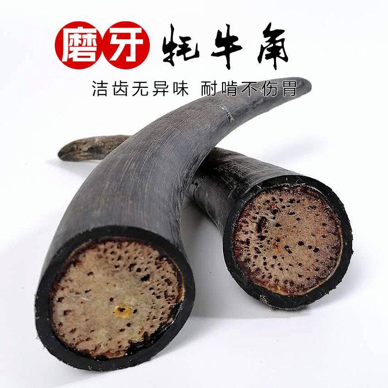 狗狗磨牙棒牦牛角磨牙营养牛角髓宠物零食中大犬耐啃,宠物/宠物食品及用品,狗零食罐,淘宝优惠券,粉丝福利购,淘宝优惠卷