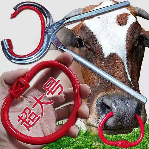 牛鼻钳子大号穿孔钳打兽