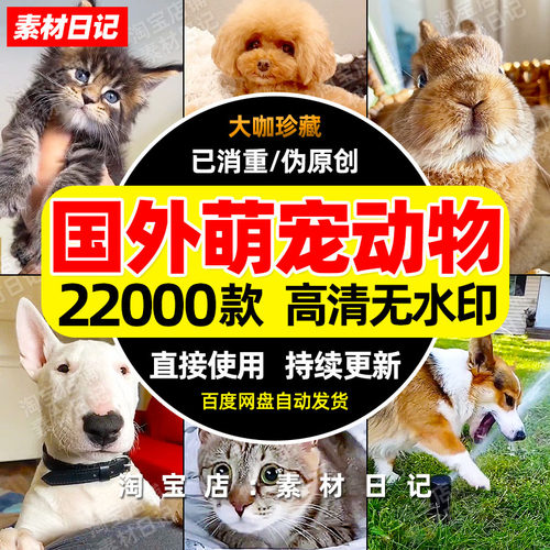 国外萌宠动物视频搞笑日常狗狗猫猫抖音快手自媒体高清无水印剪辑