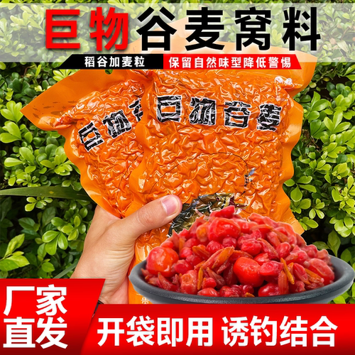 巨物谷麦打窝料鲫鲤草鳊打窝料加饵料玉米打窝挂钩谷麦钓鱼饵料