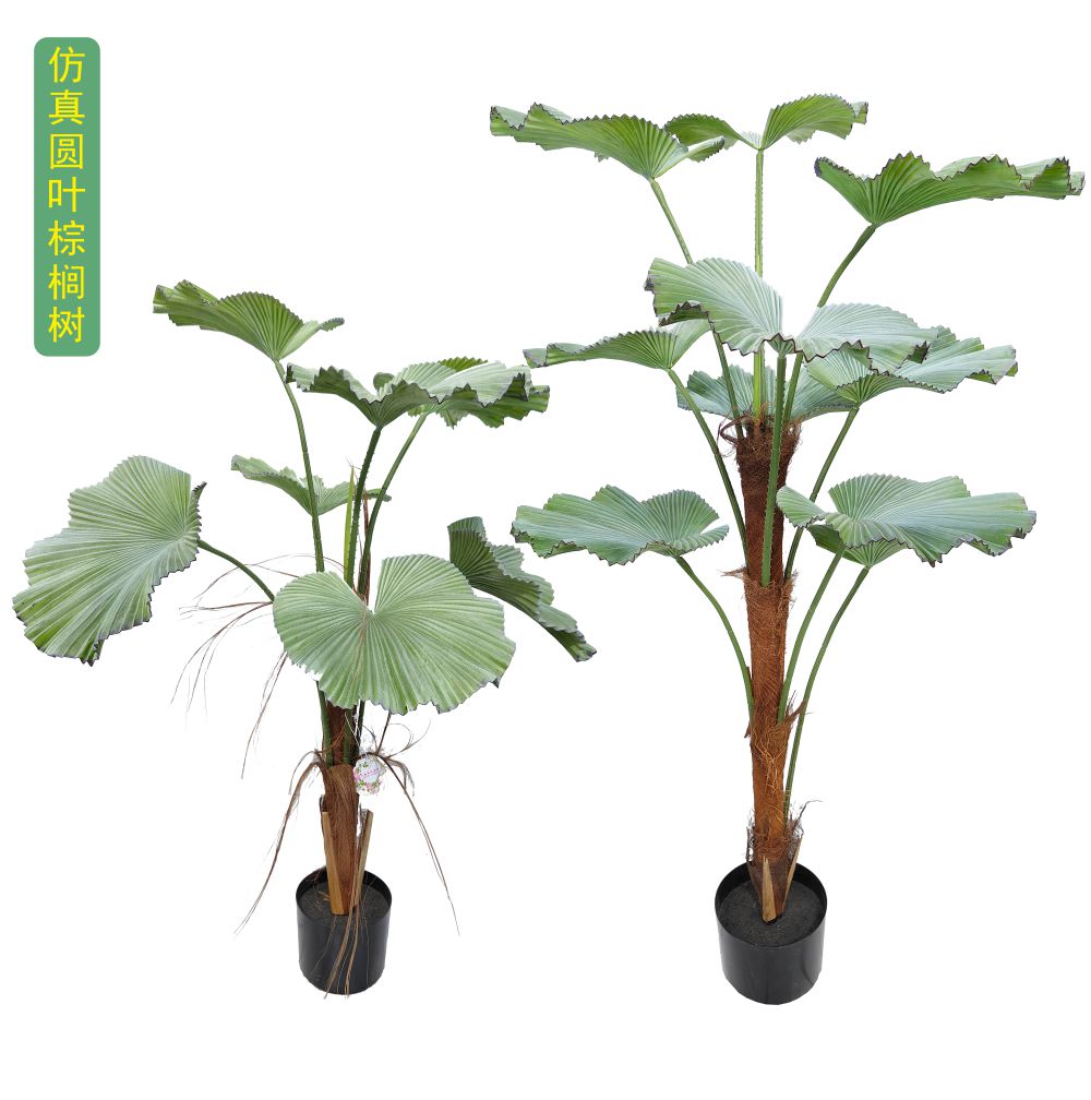 仿真圆叶棕榈树大叶子树假绿植室内景观展厅门店橱窗网红装饰大树