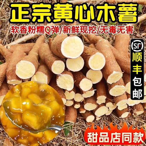 黄心木薯新鲜现挖顺丰包邮