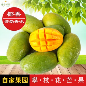 【迷李鲜果】芒果攀枝花金煌芒果青皮当季新鲜大青芒产地直发整箱