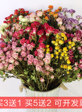 真花多头小玫瑰蔷薇泡泡干花家居店铺装饰插花diy滴胶相框干花材