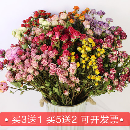 真花多头小玫瑰蔷薇泡泡干花家居店铺装饰插花diy滴胶相框干花材