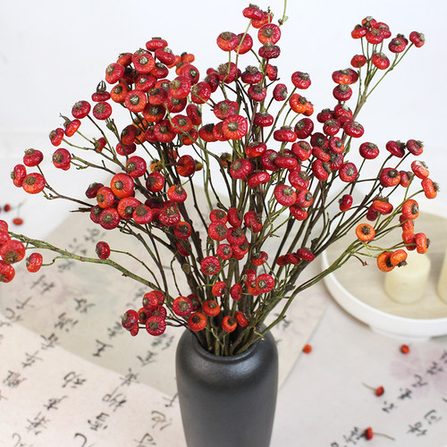 蔷薇果干花干枝中式红色发财果