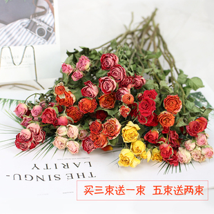 多头小玫瑰蔷薇云南干花diy饰品花材客厅店铺装 饰插花泡泡金斗南