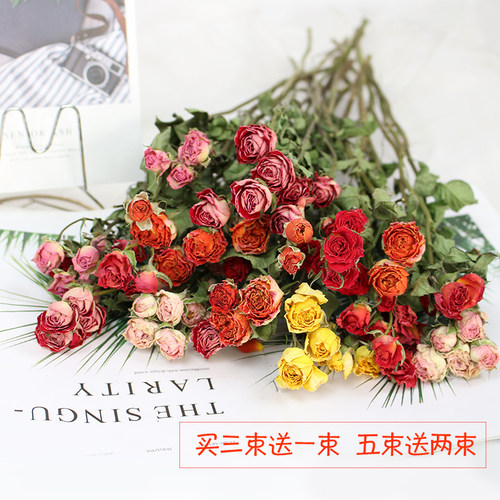 多头小玫瑰干花饰品买一送一配草