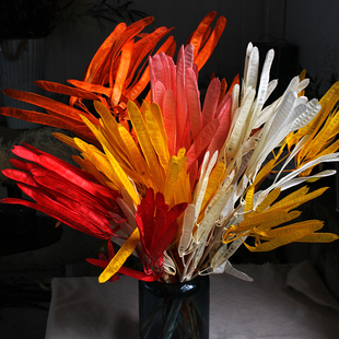 永生花豆荚扁豆干花真枝装饰摆设插花婚庆软装陈设造景配花配材