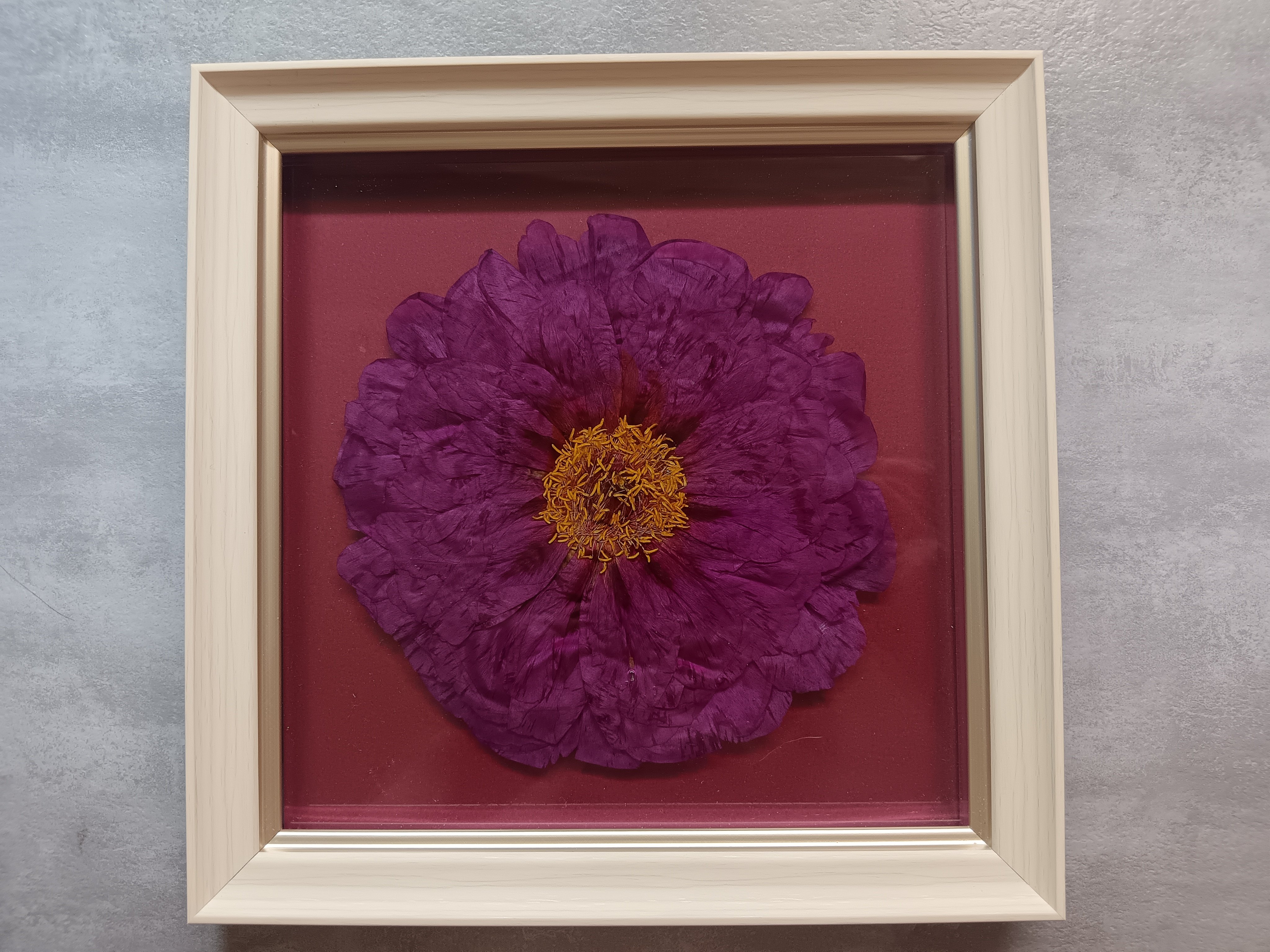 玄关客厅永生花装饰挂画洛阳牡丹标本类装饰画