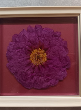 玄关客厅永生花装饰挂画洛阳牡丹压花中药标本画框挂件书房摆件