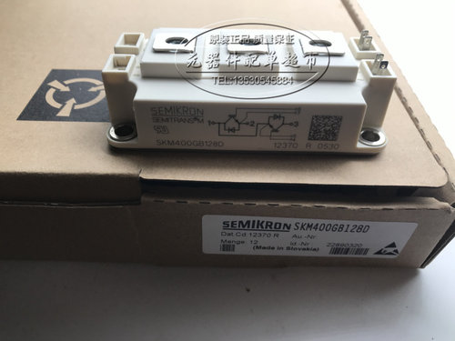 SKM400GB128D SKM300GB128D SKM400GB123D SKM200GB124D